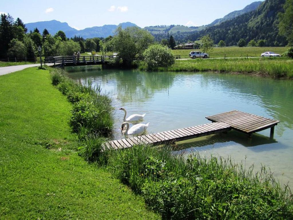 Pension Essbaum Apartment Walchsee Exterior photo